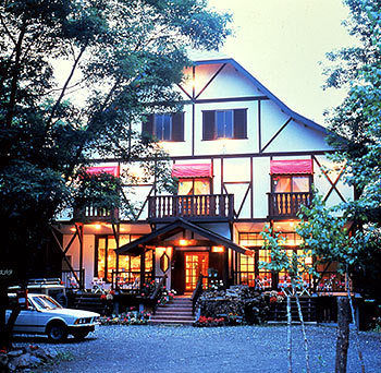 Imagen de los interiores del Hotel Grove Inn Skala. Foto 11