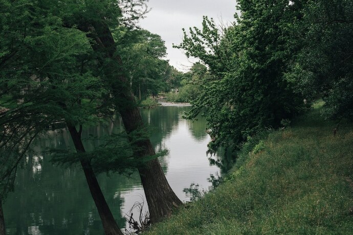 Imagen general del Hotel Gruene River Inn. Foto 15