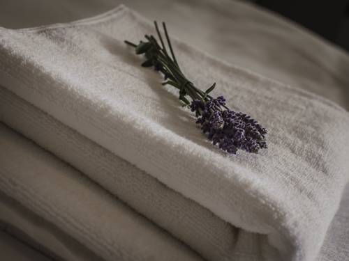 Imagen de la habitación del Hotel Grunt. Foto 7