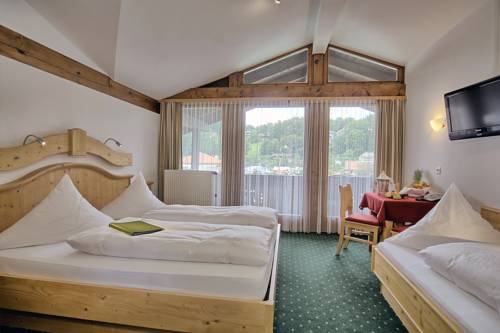 Imagen de la habitación del Hotel Gr&uuml;nberger. Foto 11