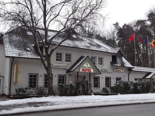 Imagen de la habitación del Hotel Gr&uuml;ne Tanne. Foto 8