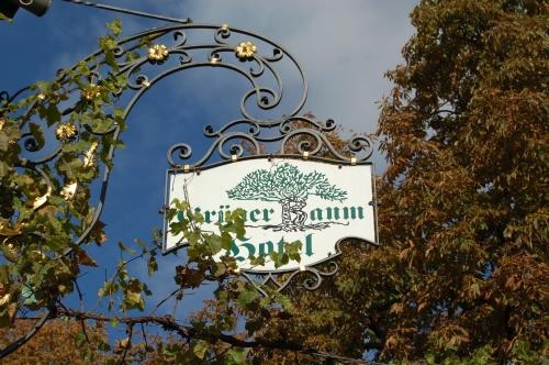 Imagen general del Hotel Gr&uuml;ner Baum, Bad Kreuznach. Foto 4