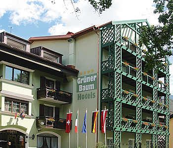 Imagen general del Hotel Grünerbaum Hotels. Foto 5