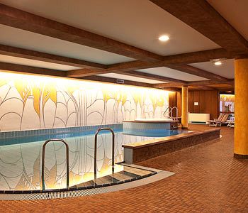 Imagen de la piscina del Hotel Grünerbaum Hotels. Foto 23