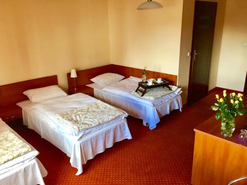 Imagen de la habitación del Hotel Gryf. Foto 9