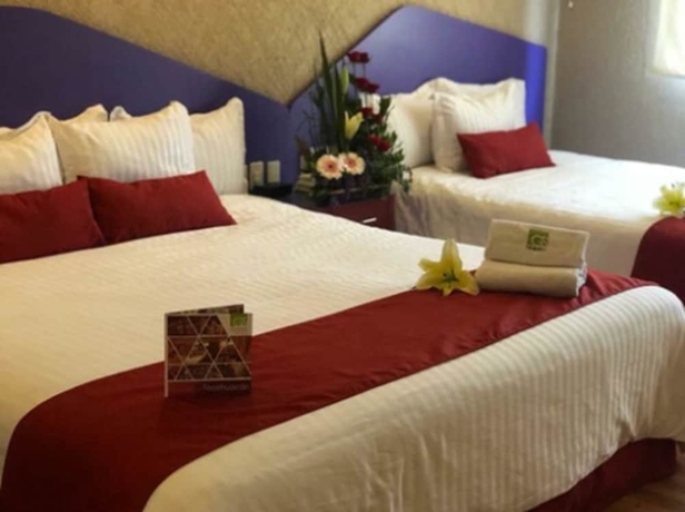 Imagen de la habitación del Hotel Gs Quinto Sol. Foto 17