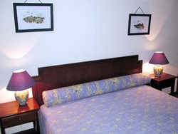 Imagen de la habitación del Hotel Guadiana River. Foto 2