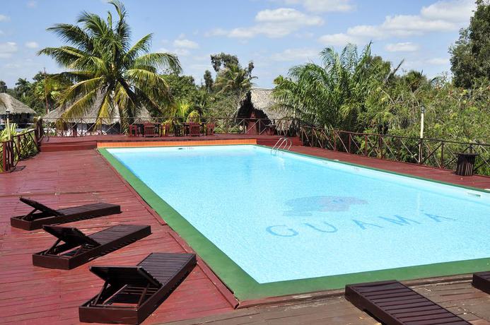 Imagen de la piscina del Hotel Guama. Foto 7