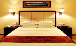 Imagen de la habitación del Hotel Guangzhou Aoyuan Health City Hotel. Foto 3