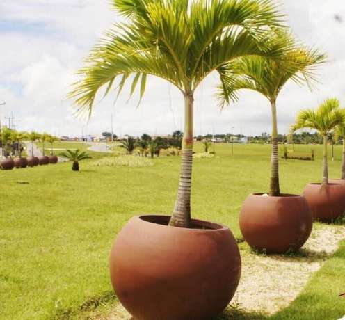 Imagen de los exteriores del Hotel Guar&aacute; Praia. Foto 9