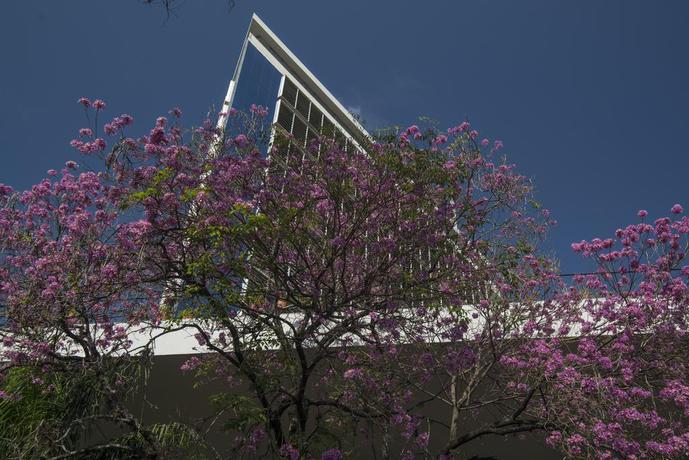 Imagen general del Hotel Guarani Asuncion. Foto 11