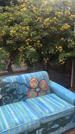 Imagen de la habitación del Hotel Guarda Beach House - Hostel. Foto 15