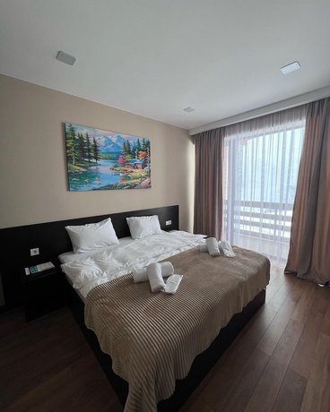 Imagen de la habitación del Hotel Gudauri Diamond. Foto 6