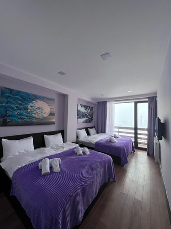 Imagen de la habitación del Hotel Gudauri Diamond. Foto 9