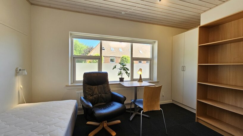 Imagen general del Hotel Gudum Park. Foto 3