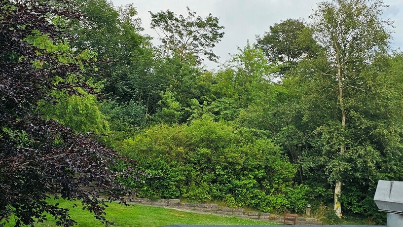 Imagen general del Hotel Gudum Park. Foto 8