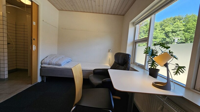 Imagen general del Hotel Gudum Park. Foto 10