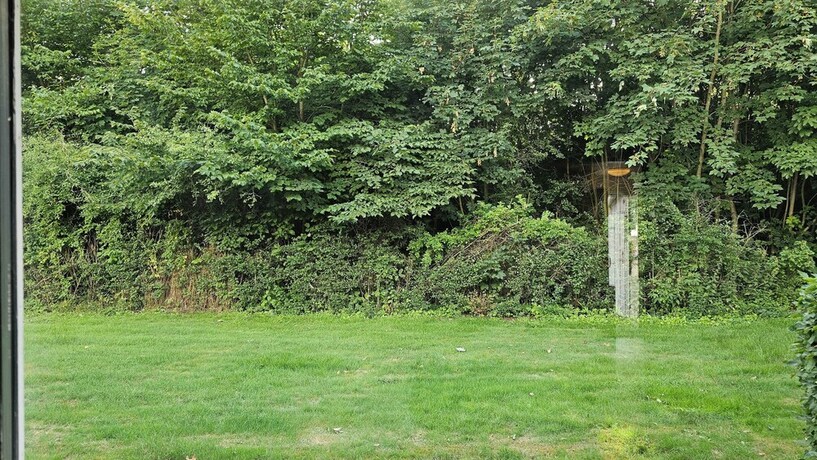 Imagen de la habitación del Hotel Gudum Park. Foto 19