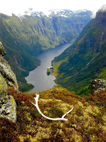 Imagen general del Hotel Gudvangen Fjordtell. Foto 3