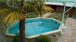 Imagen de la piscina del Hotel Guest House Albatros. Foto 6