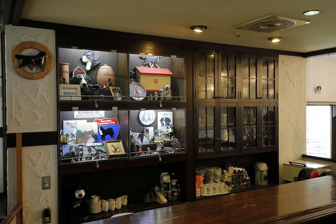 Imagen general del Hotel Guest House Bern. Foto 4