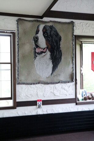 Imagen general del Hotel Guest House Bern. Foto 8
