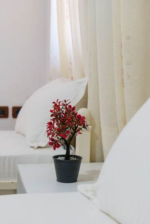 Imagen general del Hotel Guest House Gerard. Foto 6