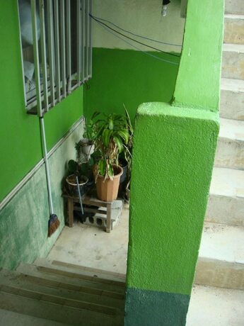 Imagen general del Hotel Guest House Green House. Foto 16
