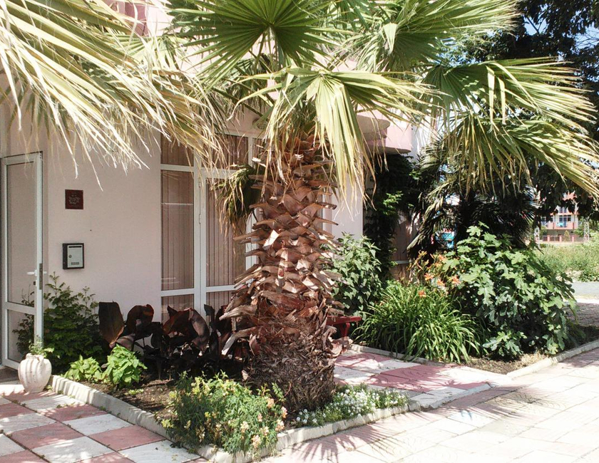 Imagen general del Hotel Guest House Malkata Stopanka. Foto 11