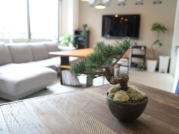 Imagen de los interiores del Hotel Guest House Matsu - Hostel. Foto 37