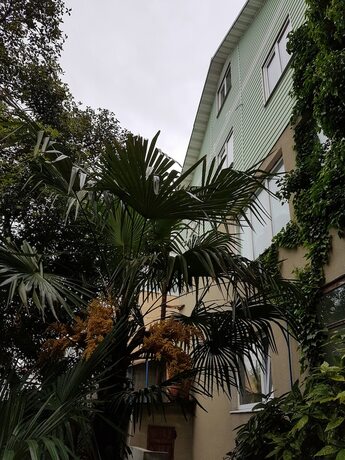 Imagen general del Hotel Guest House MishLen. Foto 6