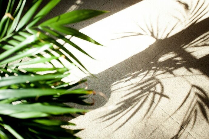 Imagen general del Hotel Guest House Nagatoro Nemaki - Hostel. Foto 6