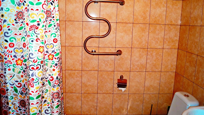 Imagen de la habitación del Hotel Guest House Novoselkovsky. Foto 6