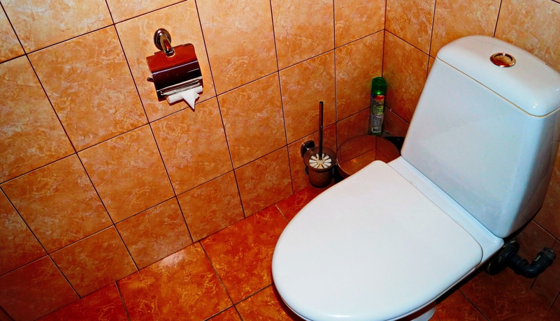 Imagen de la habitación del Hotel Guest House Novoselkovsky. Foto 8