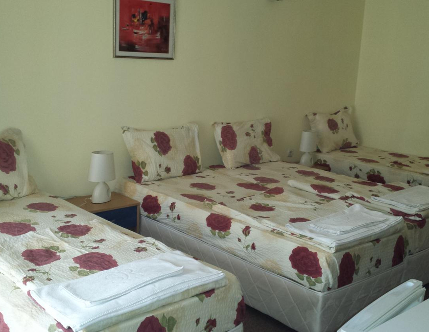 Imagen general del Hotel Guest House Pri Valyo. Foto 13