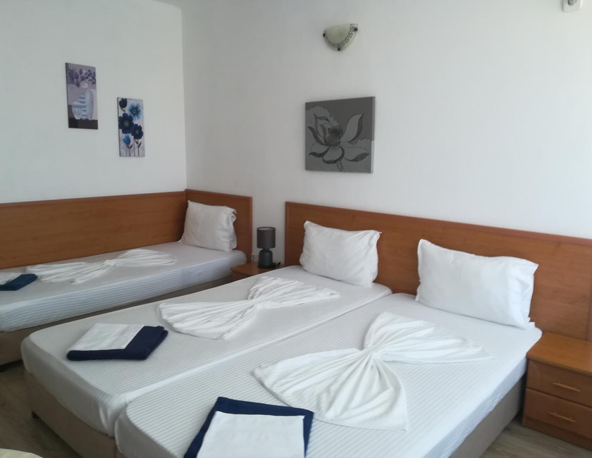 Imagen general del Hotel Guest House Stenli. Foto 14