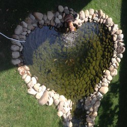 Imagen general del Hotel Guest House U Vitaliya. Foto 4