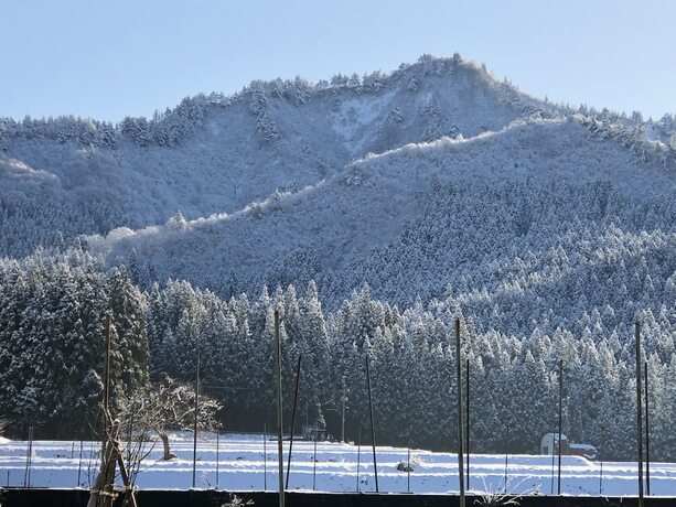 Imagen general del Hotel Guest House Vingt-neuf. Foto 8