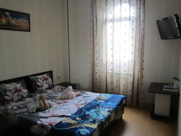 Imagen general del Hotel Guest House Zvezdny. Foto 2