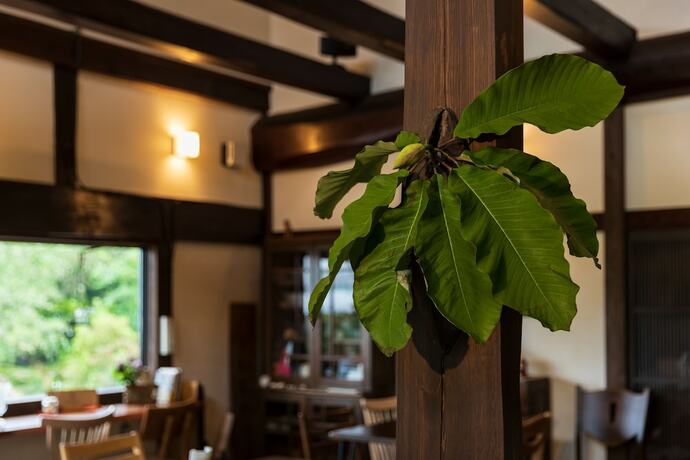 Imagen de los interiores del Hotel Guest House and Cafe Soy. Foto 30