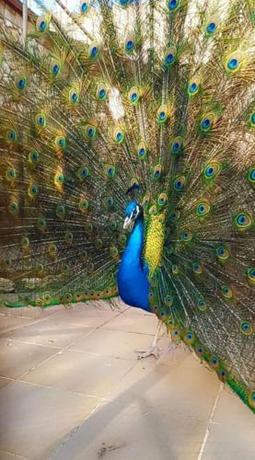 Imagen general del Hotel Guest Rooms Wild Duck. Foto 4