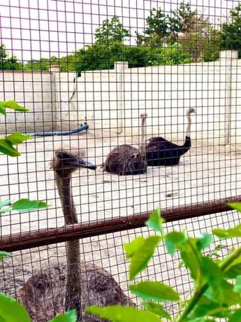 Imagen general del Hotel Guest Rooms Wild Duck. Foto 6