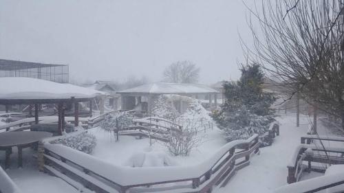 Imagen general del Hotel Guest Rooms Wild Duck. Foto 8