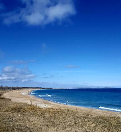 Imagen general del Hotel Guest Rooms Wild Duck. Foto 13