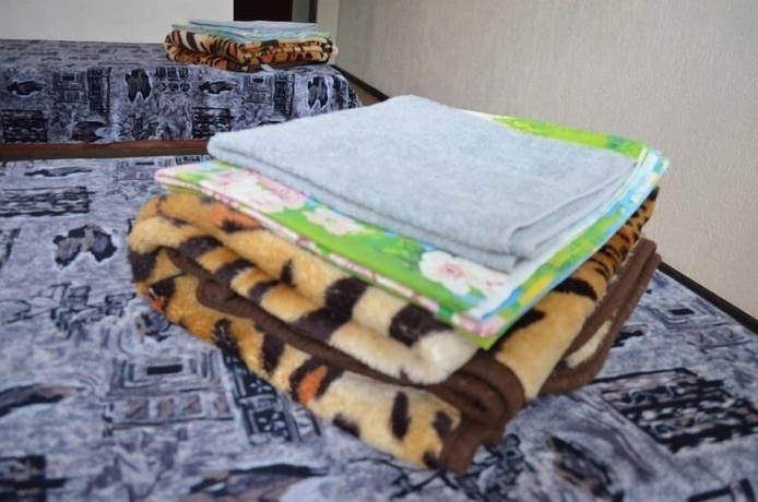 Imagen de la habitación del Hotel Guest house Dorozhny. Foto 7