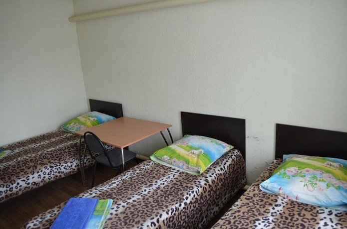 Imagen de la habitación del Hotel Guest house Dorozhny. Foto 12