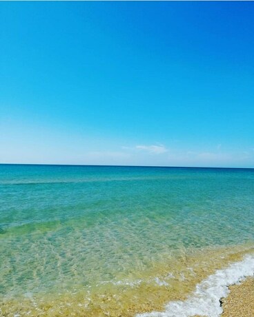 Imagen general del Hotel Guest house Turovskih. Foto 6