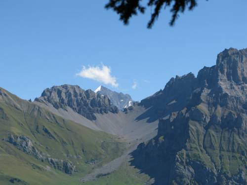 Imagen de la habitación del Hotel Guesthouse Alive. Foto 3