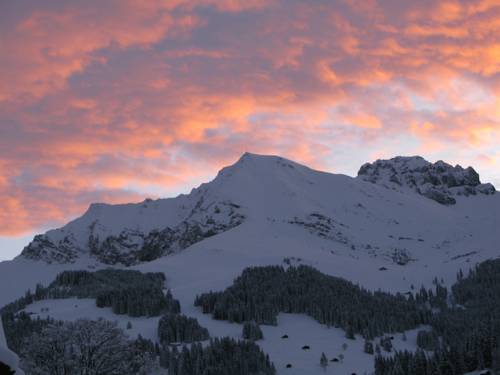 Imagen de la habitación del Hotel Guesthouse Alive. Foto 5