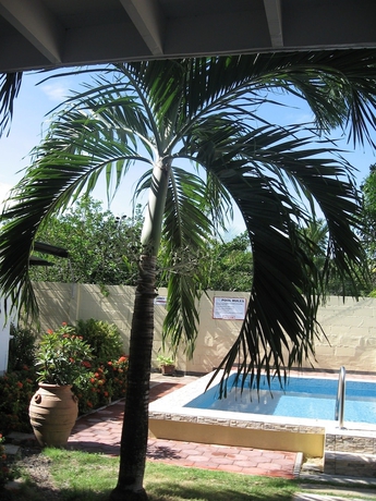 Imagen de la piscina del Hotel Guesthouse Amice. Foto 13